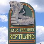 Clyde Peeling's Reptiland
