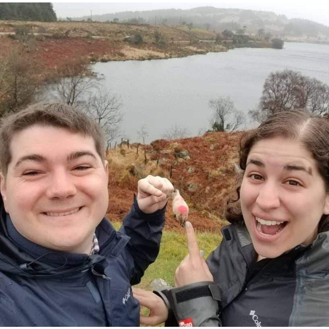 Ireland 2019