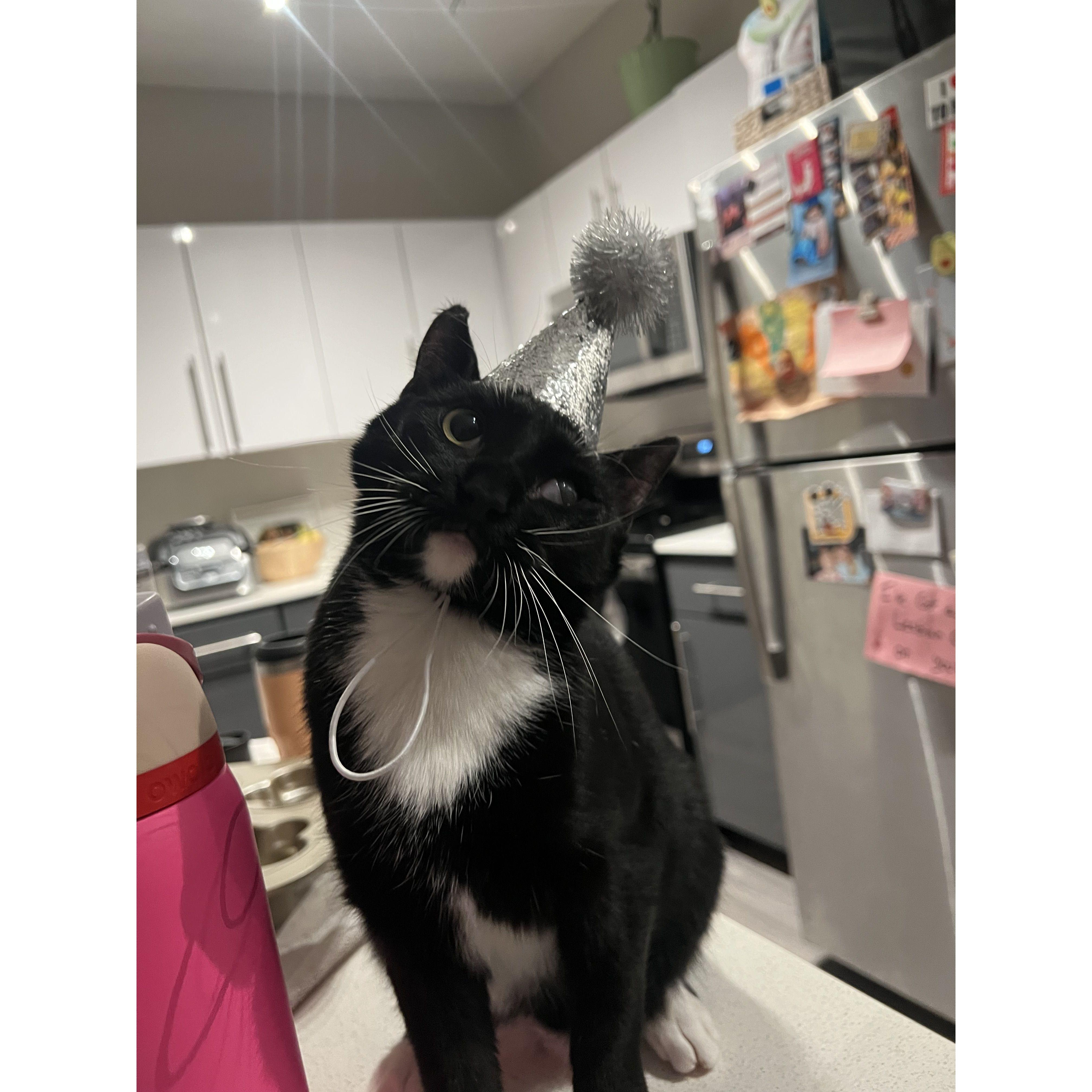 Ivy is so excited for her Mommies to get married! She's already in her tuxedo