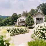 Pippin Hill Farm & Vineyards