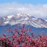 Pikes Peak