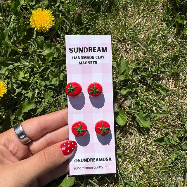 Tomato Magnets