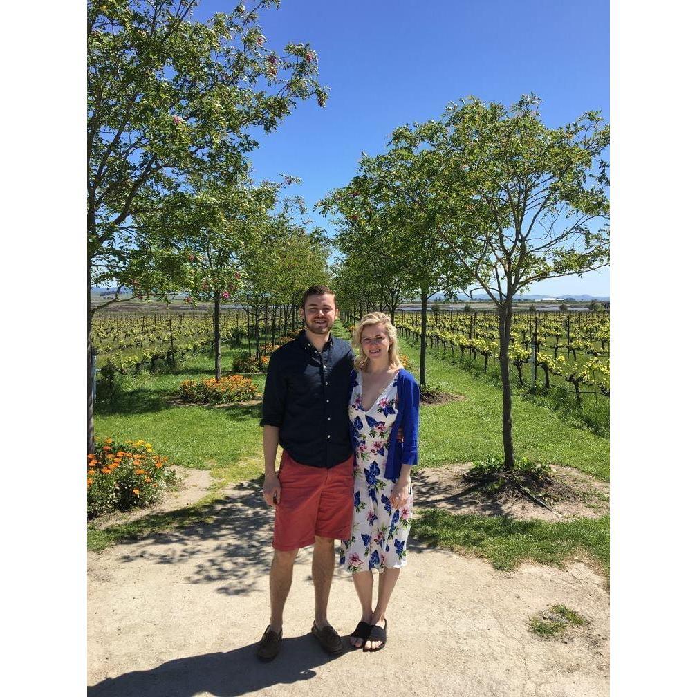 Sonoma Valley in 2016!