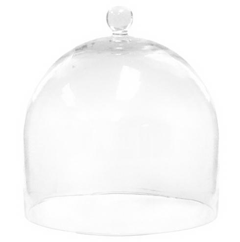HomArt ~ Large Glass Dome Clear, Price $64.95 in Tupelo, MS from Elizabeth Clair's