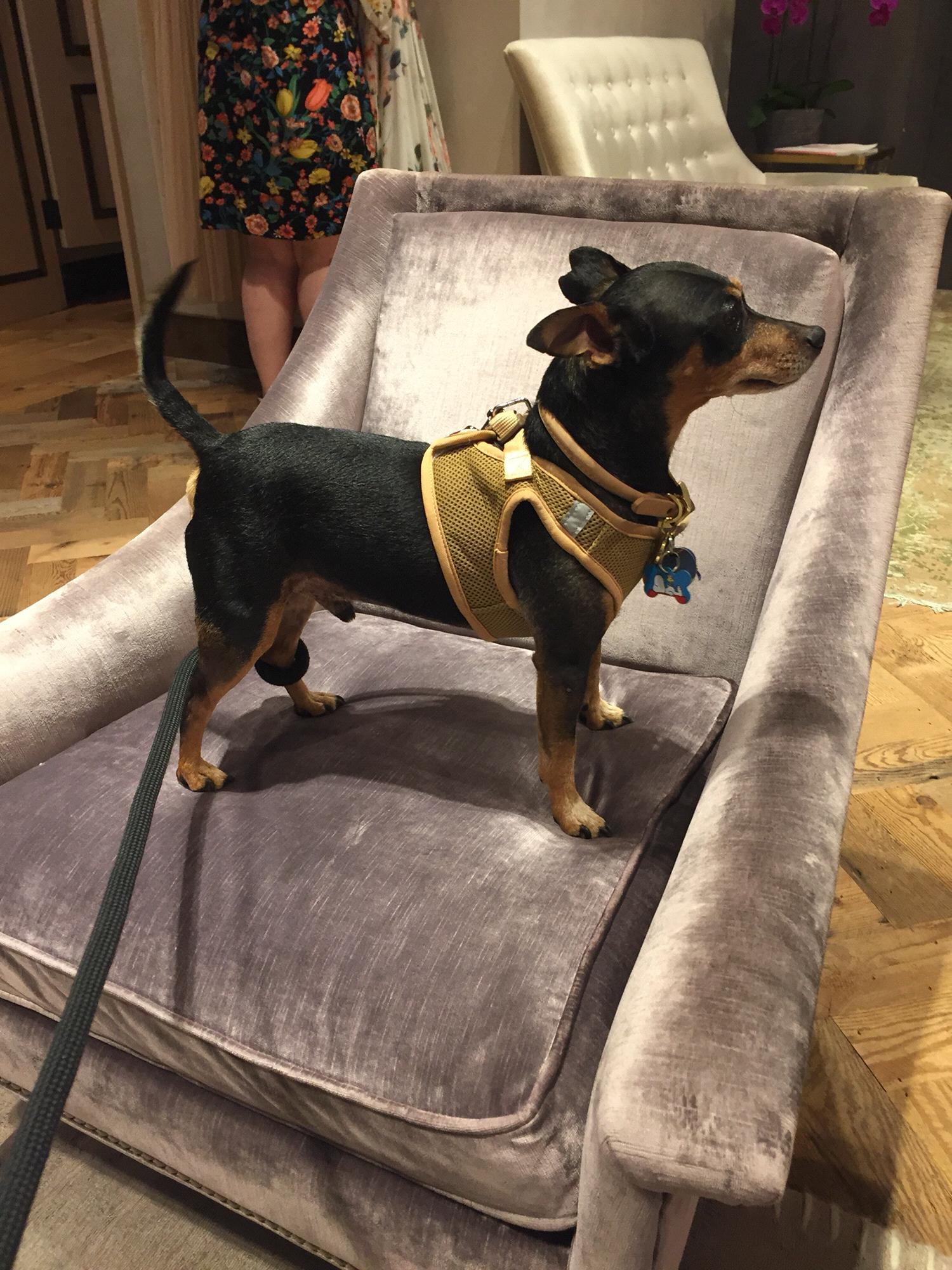 Teddy helping Jackie decide on the perfect dress