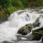 Brewery Park at Tumwater Falls (formerly Tumwater Falls Park)