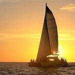 Catamaran Tours