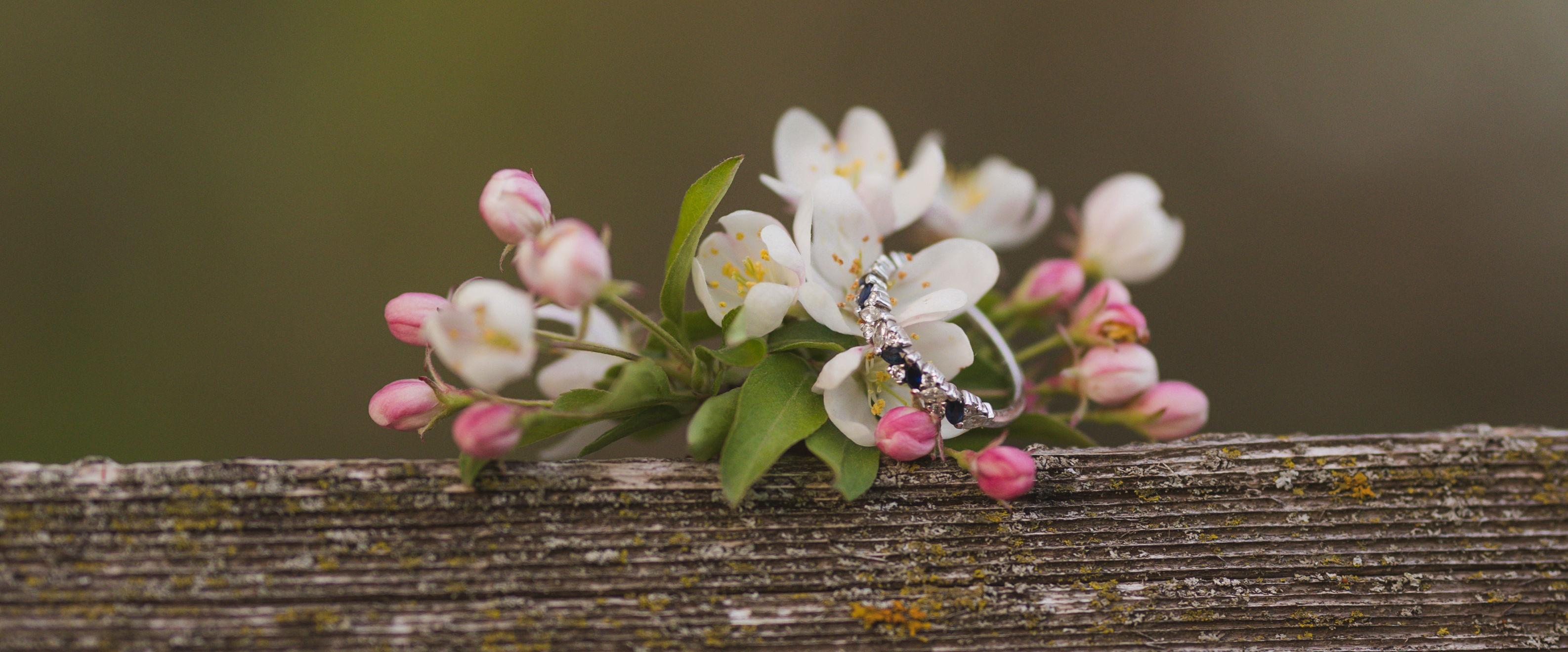 The Wedding Website of Amanda Wanous and Jack Duhan