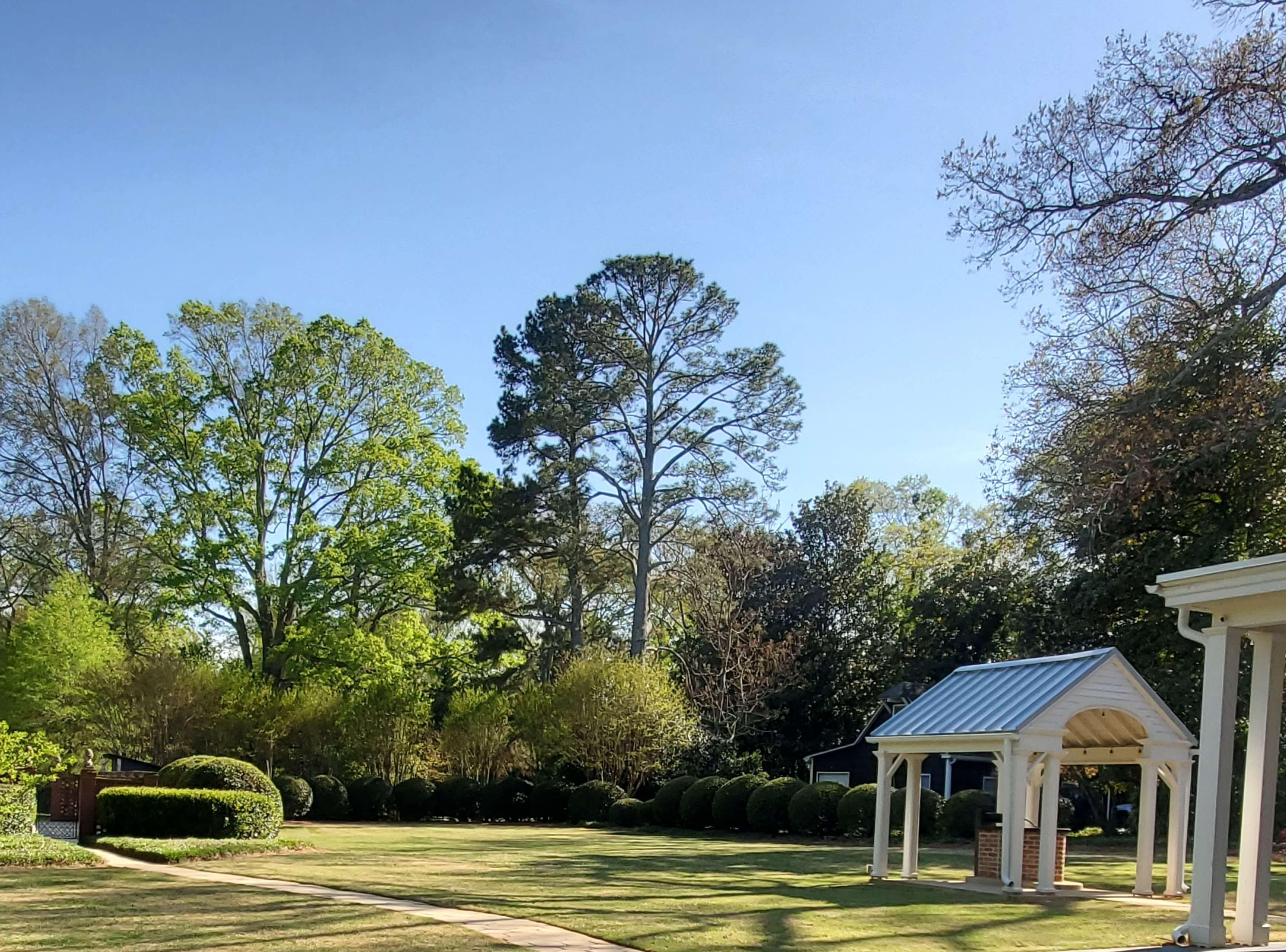 The Wedding Website of Amber Carper and Joshua Sullins