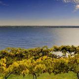 Cayuga Lake Wine Trail