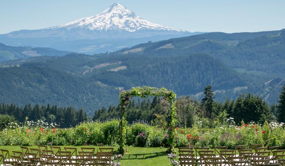 The Wedding Website of Lindsey Shive and Thomas McDonough