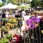 Winter Garden Downtown Pavilion and Farmers Market