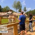 Animal Adventure Park
