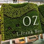 Oz Project