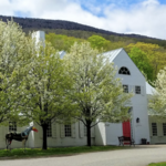 Southern Vermont Arts Center