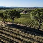 Le Mortelle (Winery)