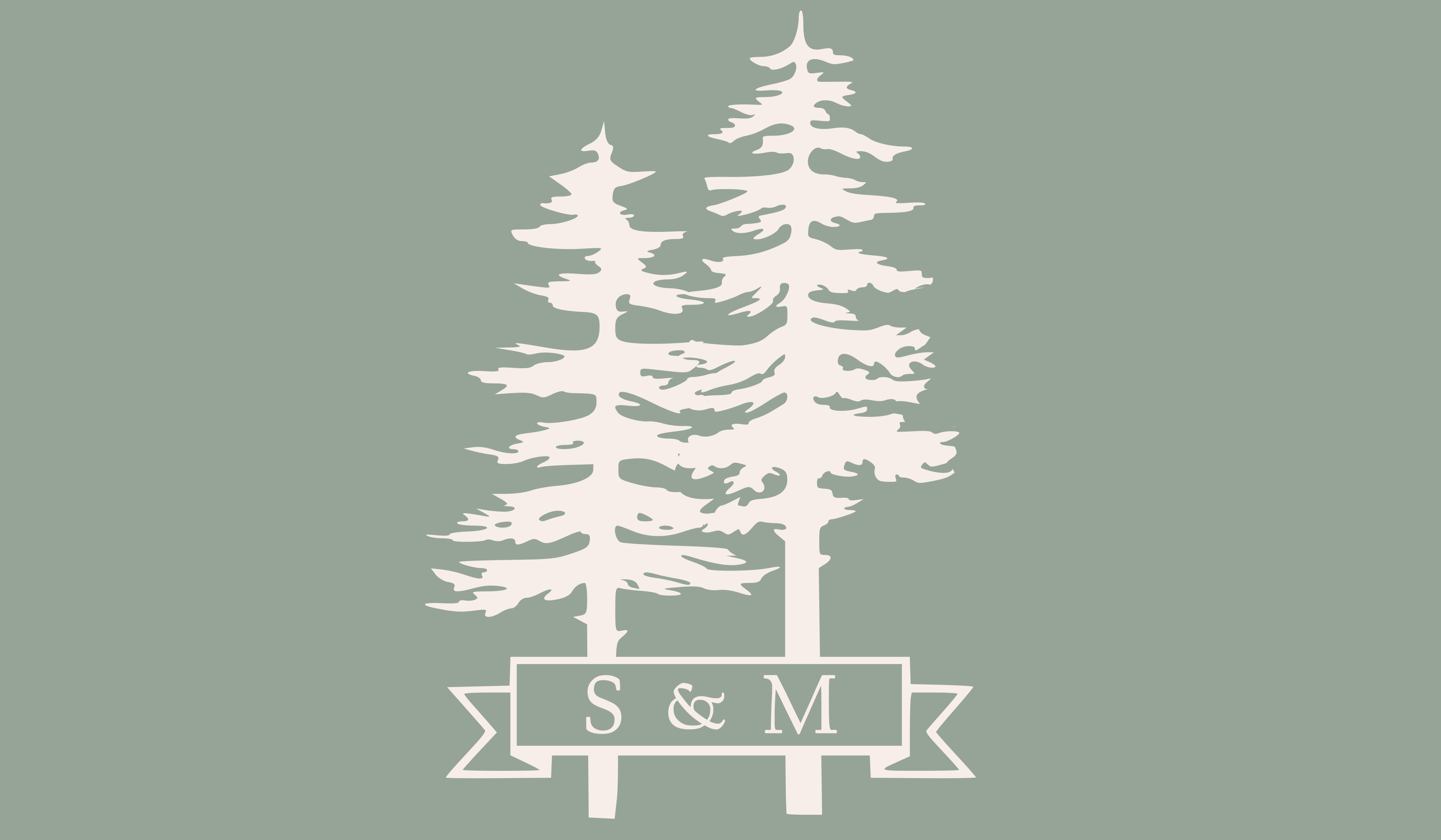 Footer image