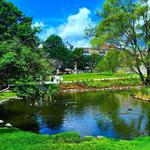 Saratoga Springs