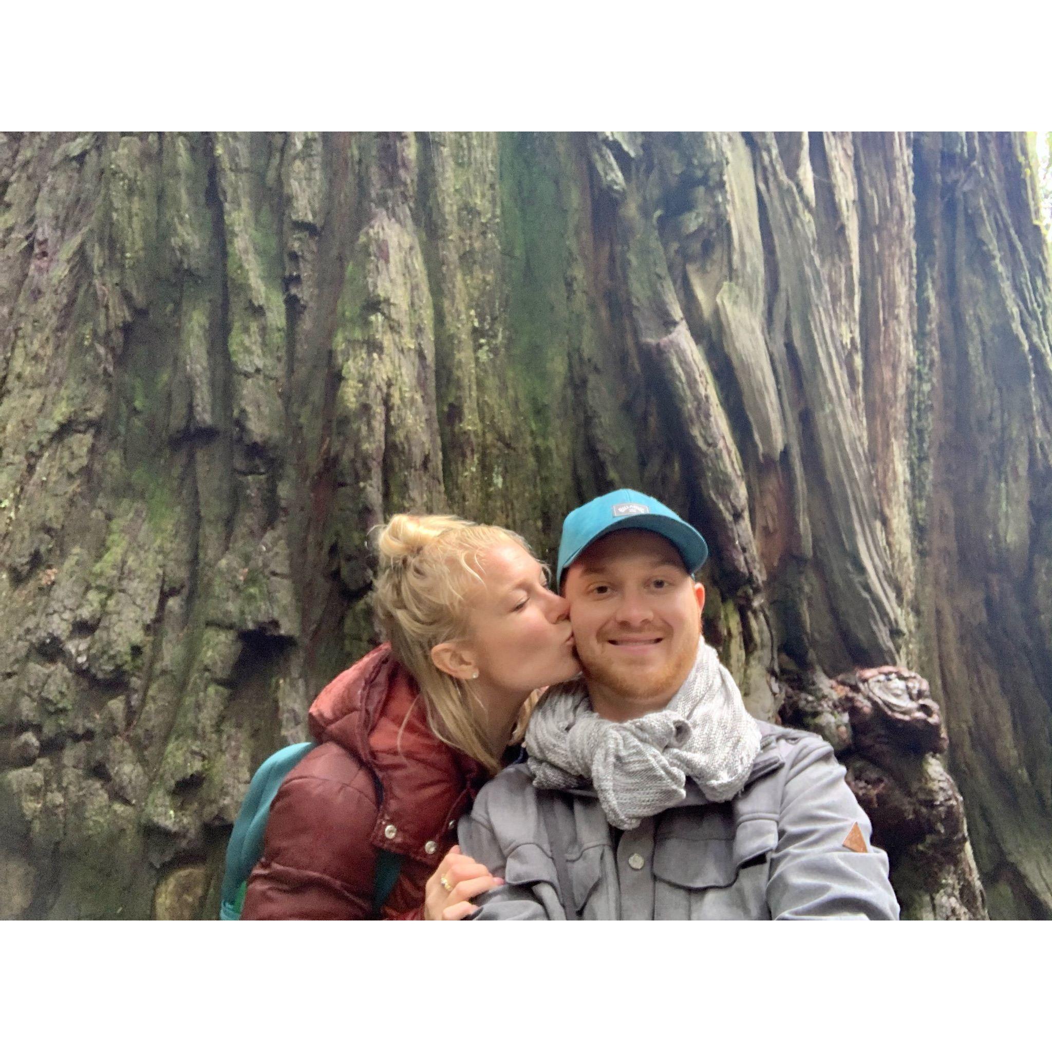 Feeling really small next to the giant trees in Oregon!