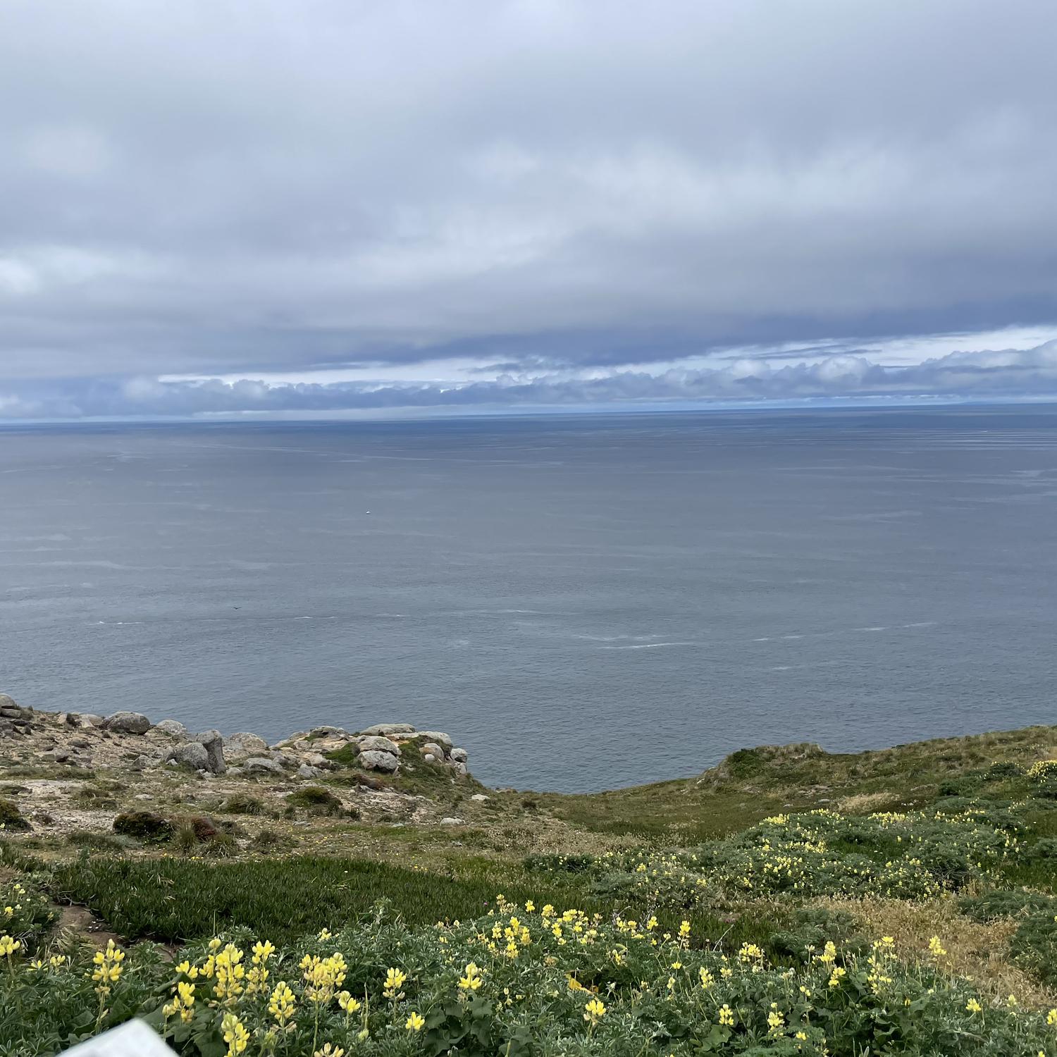 Point Reyes date June 2023