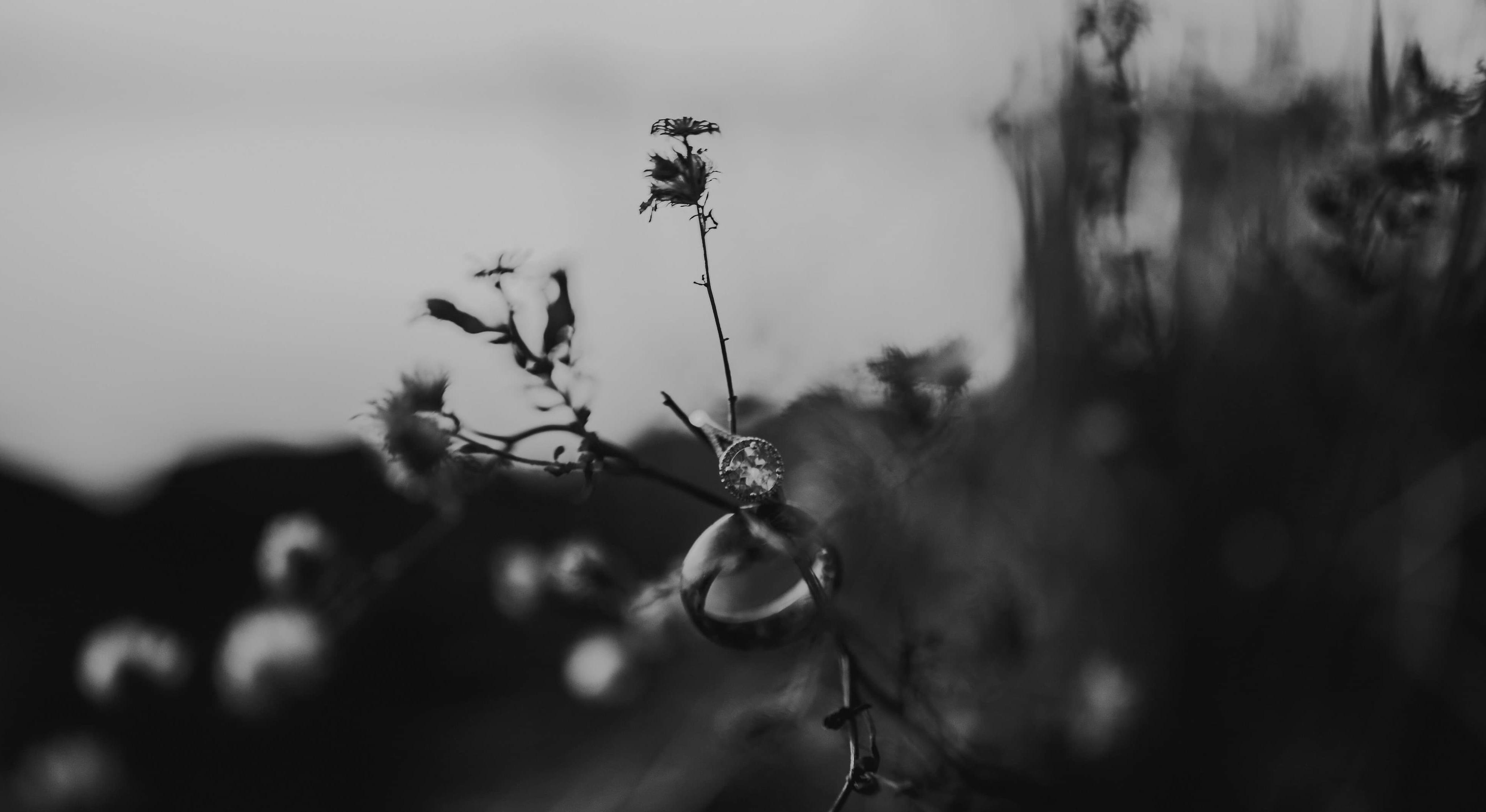 Footer image