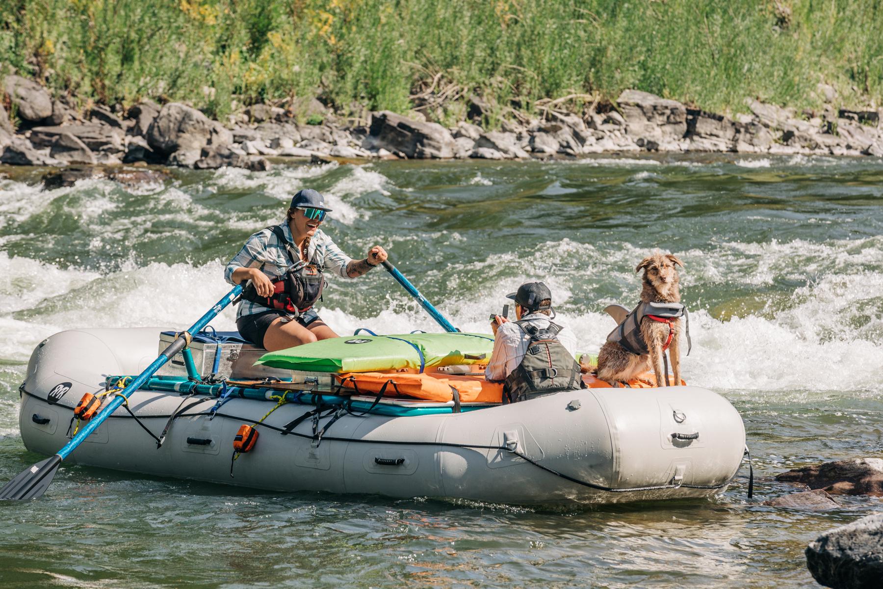 This is the moment he asked!! Look at Shasta shark! What a cutie