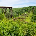 Allegheny National Forest