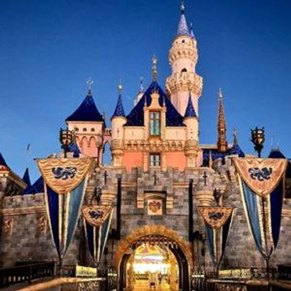 Disneyland Honeymoon Trip