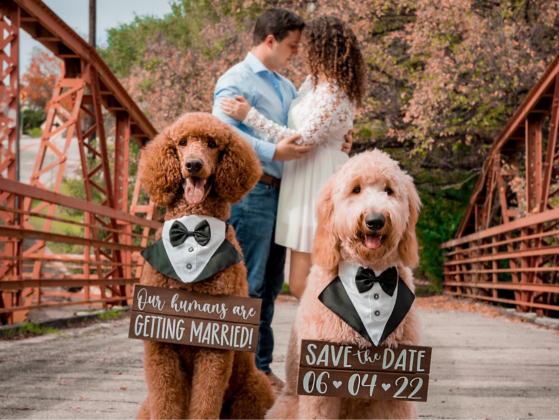 The Wedding Website of Andrea De Alba and Roel Garza