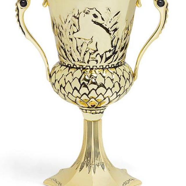 The Hufflepuff Cup Horcrux