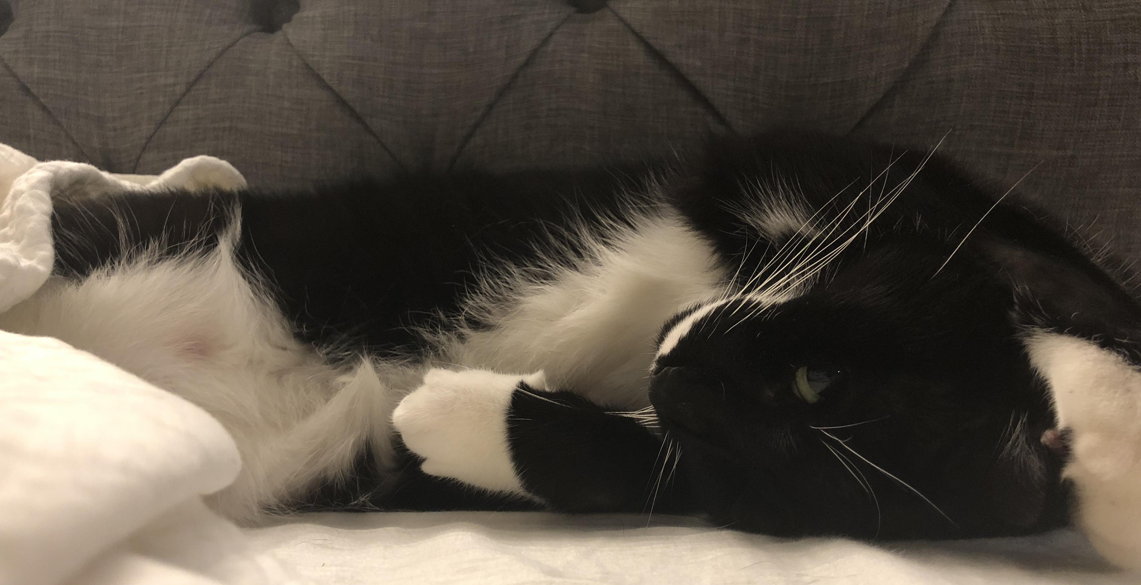 The Wedding Website of Penelope Wei and Kong Wang