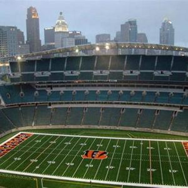 Cincinnati Bengals fund