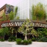 The Dallas World Aquarium