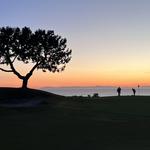 Pelican Hill Golf Club