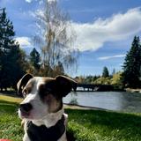 Pioneer Park