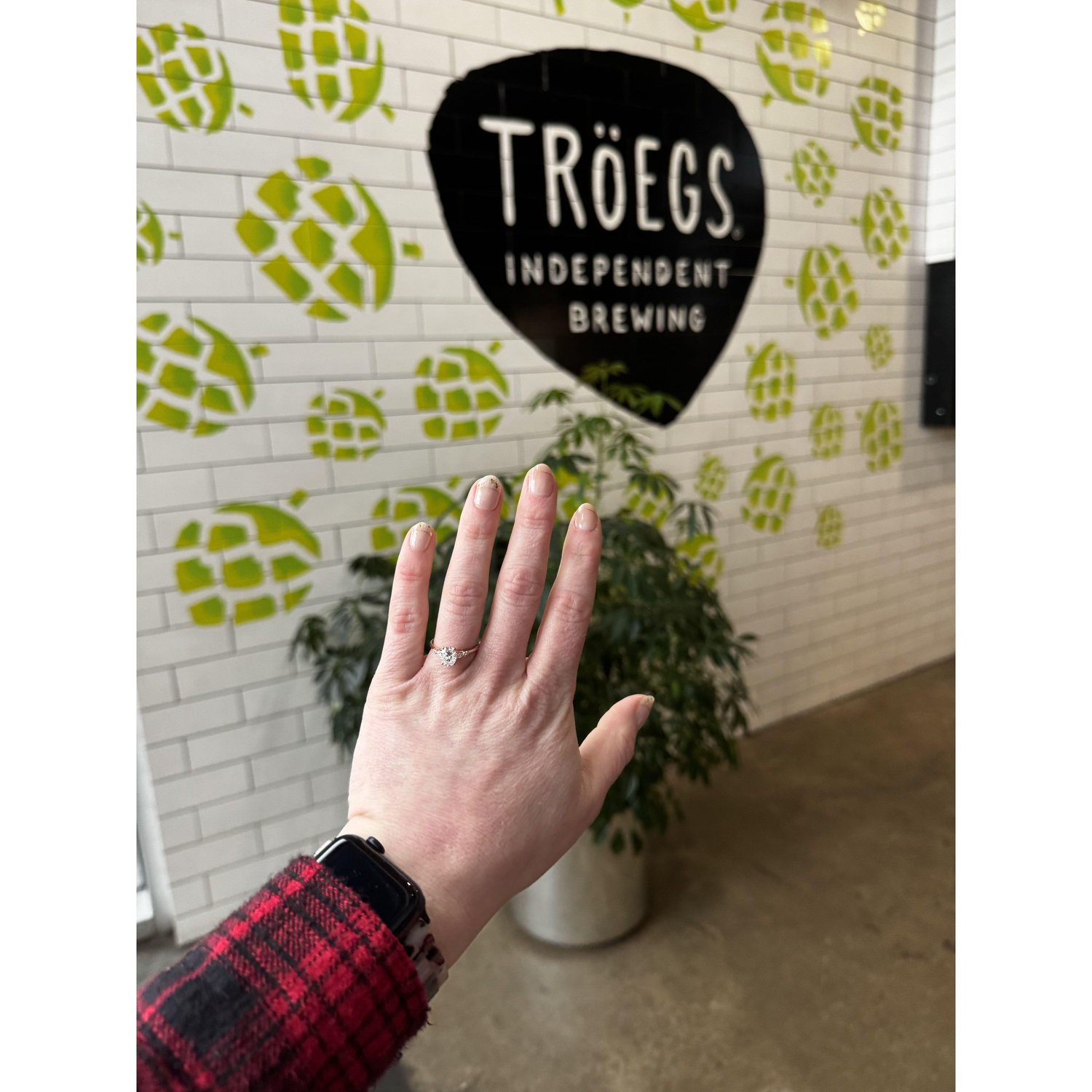 Drew proposed where we had our first date.