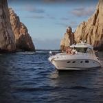 Excursions & Tours with Cabo Adventures