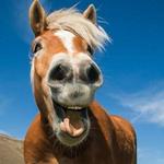 Serenbe Trailriding