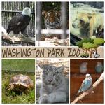 Washington Park Zoo