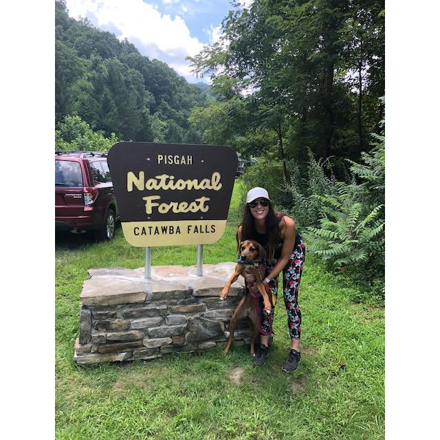 Hiking in Asheville {2018}