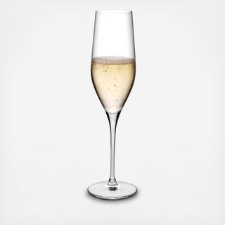 Vinifera Champagne Glass, Set of 2