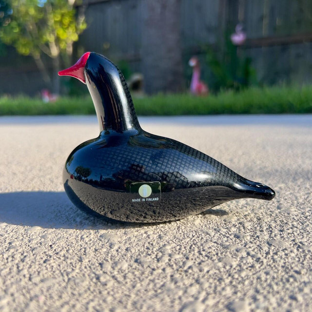 Oiva Toikka Nuutajärvi Nokikana, Vintage Iittala Bald Coot Glass Black Bird