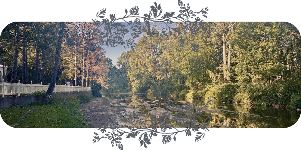 The Wedding Website of Meredith Jones and Matthew Schinzel