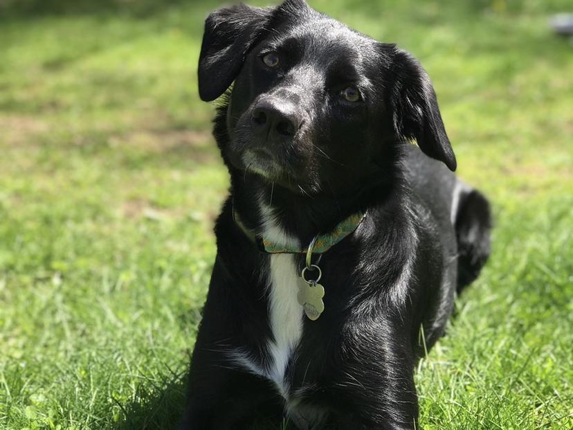 The Wedding Website of Liz Capeless and John Fitzgerald