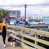 Halifax Waterfront