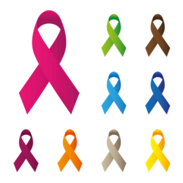 Cin's Chosen Charity - Women's Cancer Resource Center (WCRC)