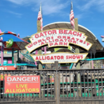 Gator Beach - The World's Greatest Alligator Park