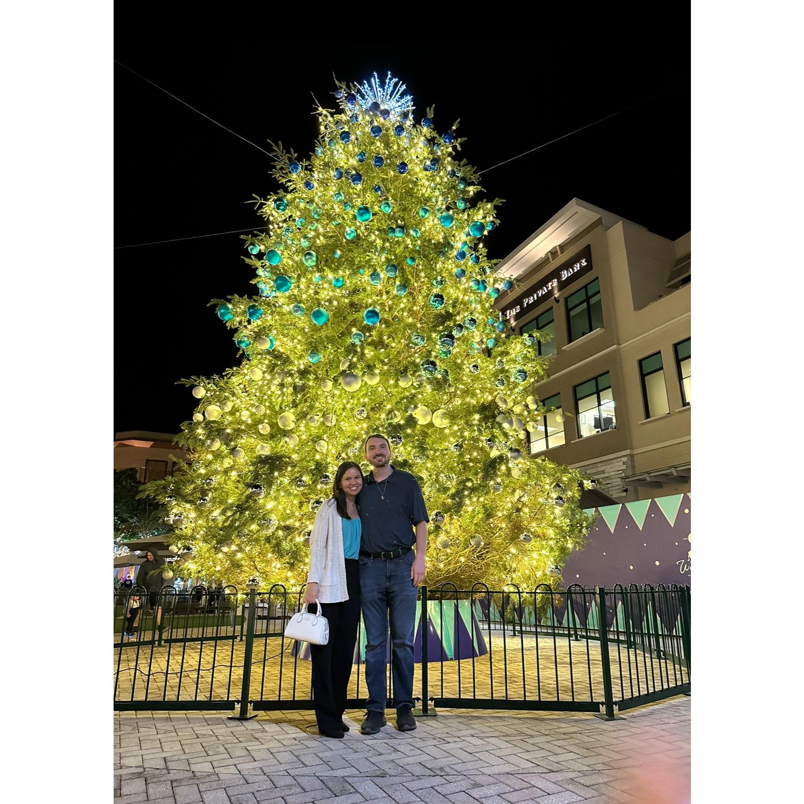 Stroll to see the christmas tree after the birthday dinner.