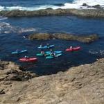Kayak Mendocino