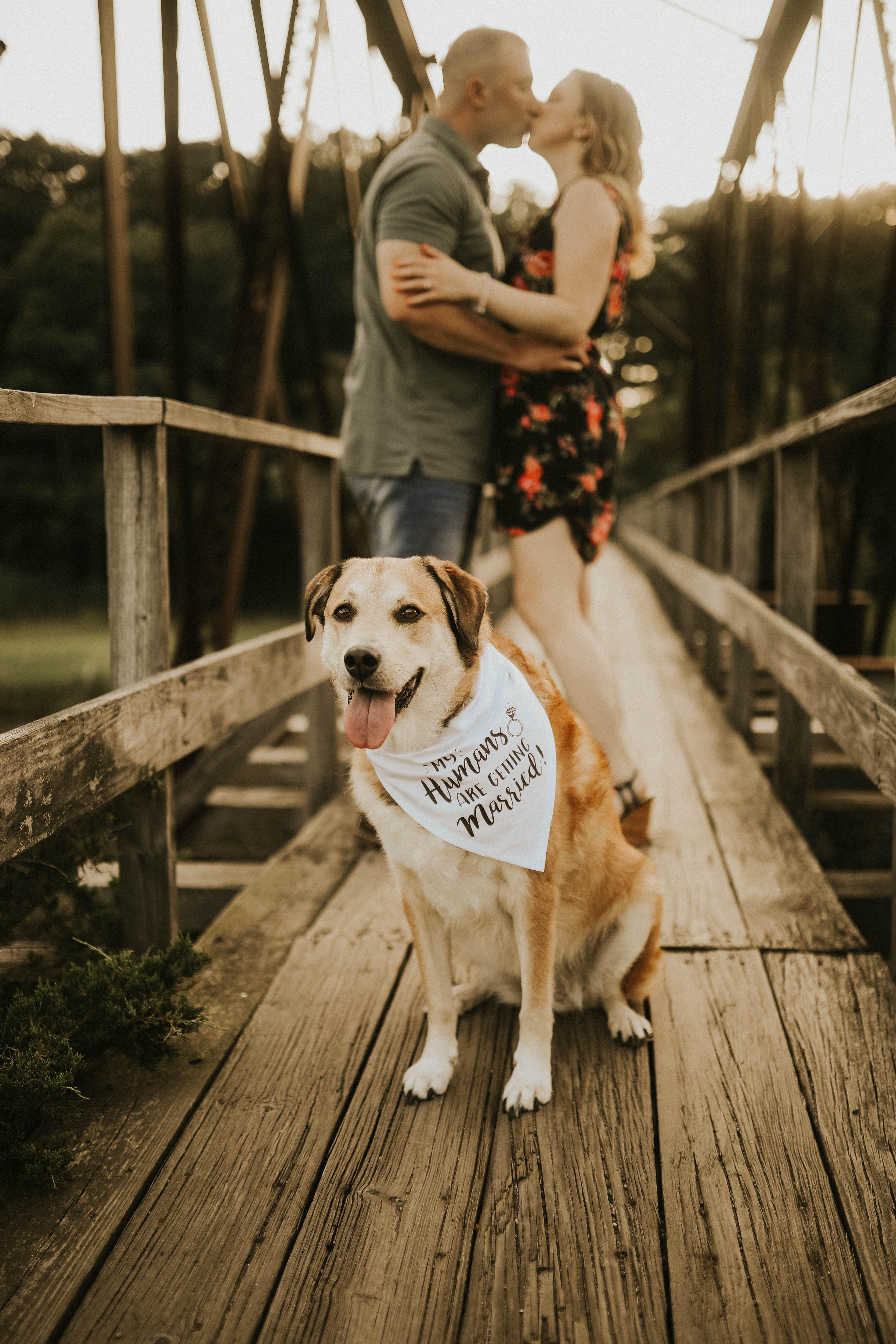 The Wedding Website of Laura Cashman and Adam Ordway